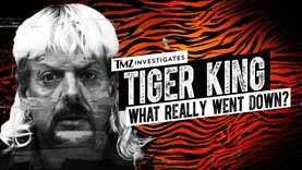 TMZ Investigates: Tiger King - What Really Went Down? TMZ Investigates: Tiger King - What Really Went Down? 2020-04-14