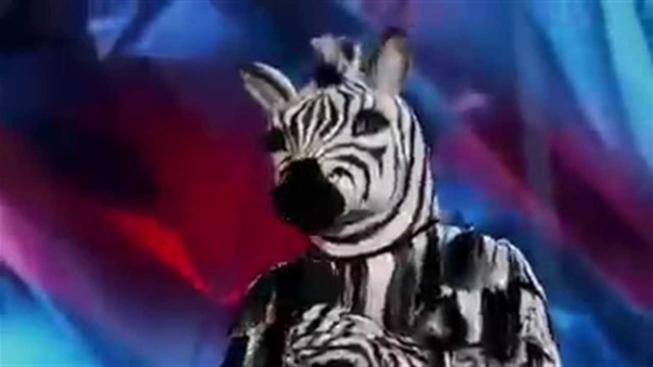 zebra masked dancer
