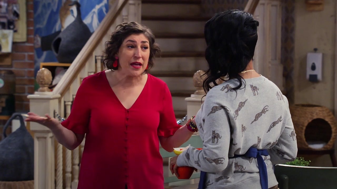 Call Me Kat | Watch Season 1 Full Episodes on FOX - Call Me Kat Season 1 Where To Watch