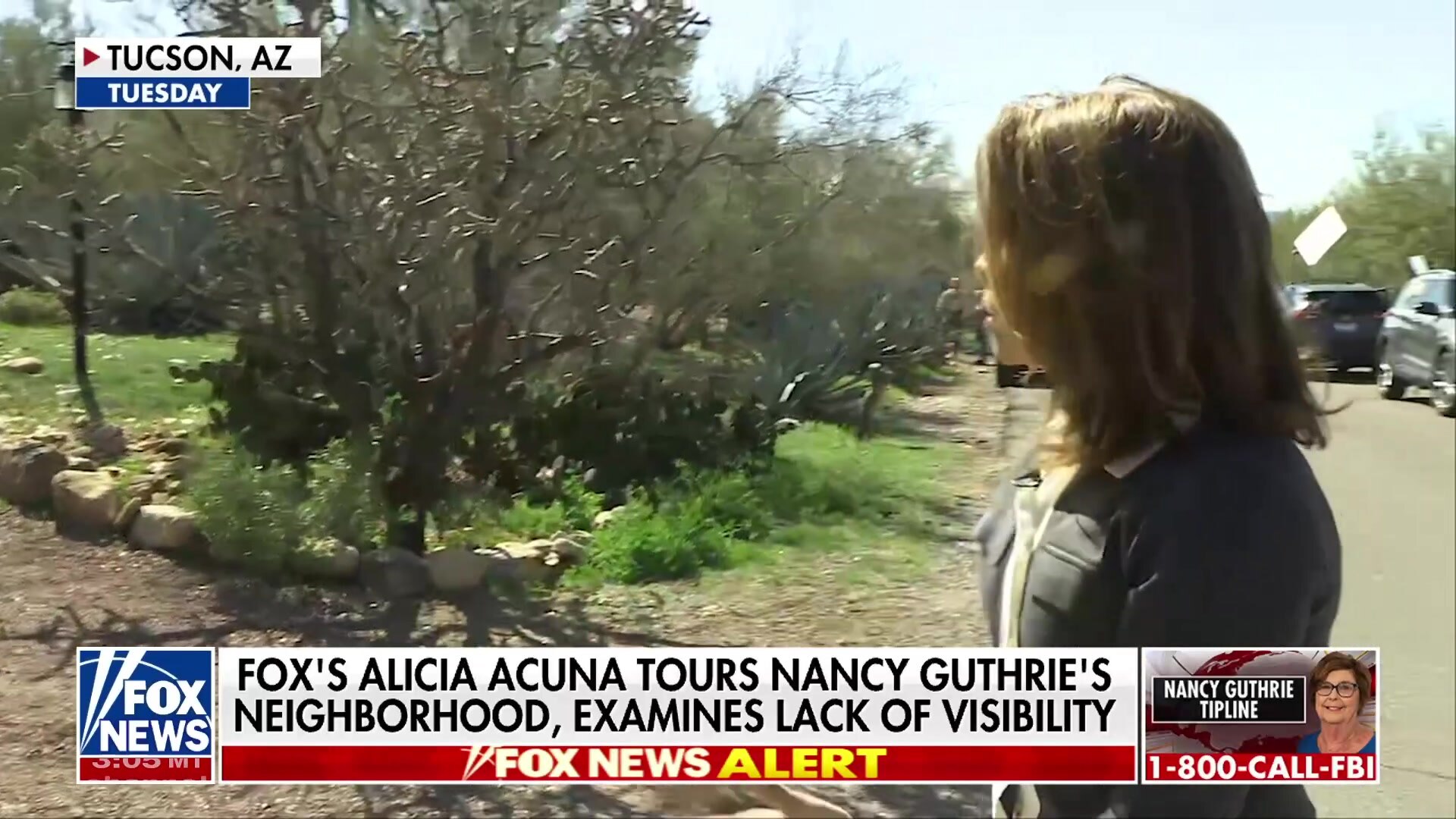 Wednesday, February 4