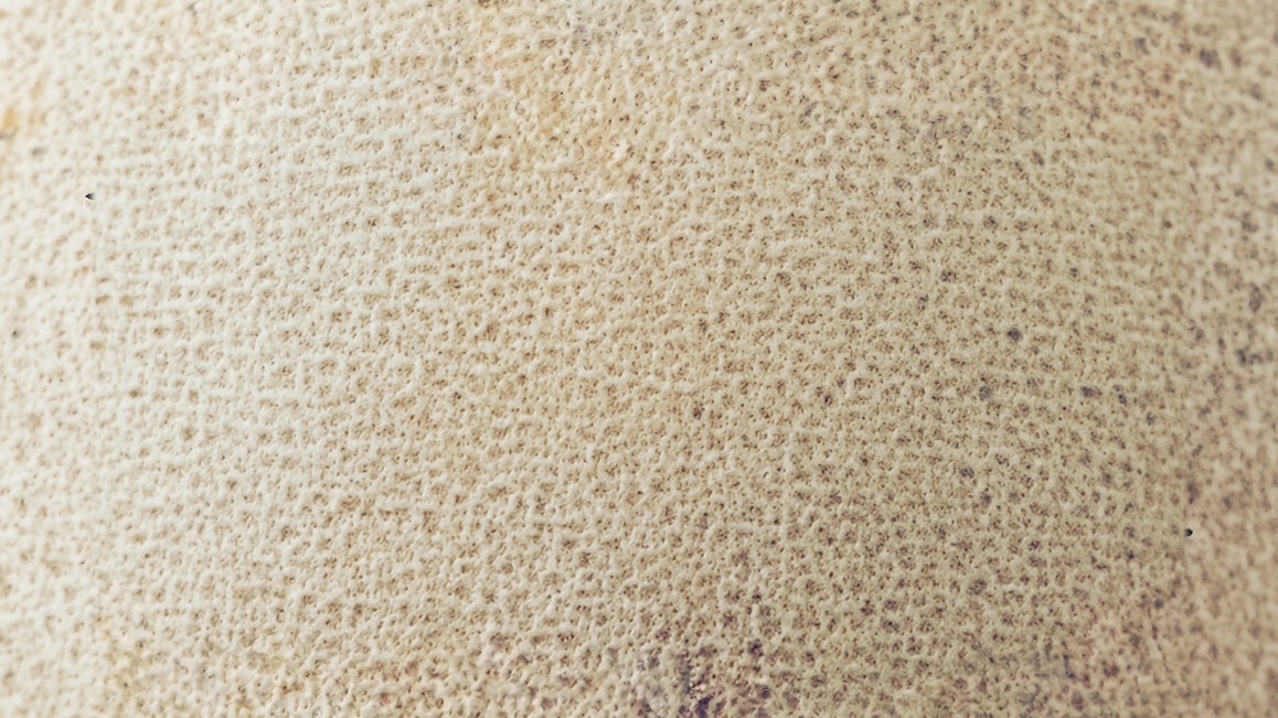 WALK-OFF STORIES: Improbably Gibson