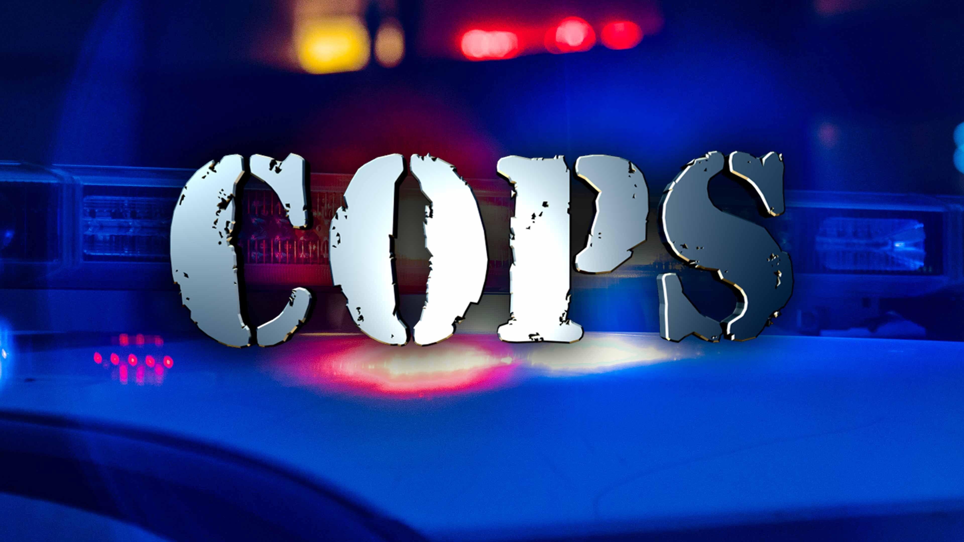 Cops - USB Honest