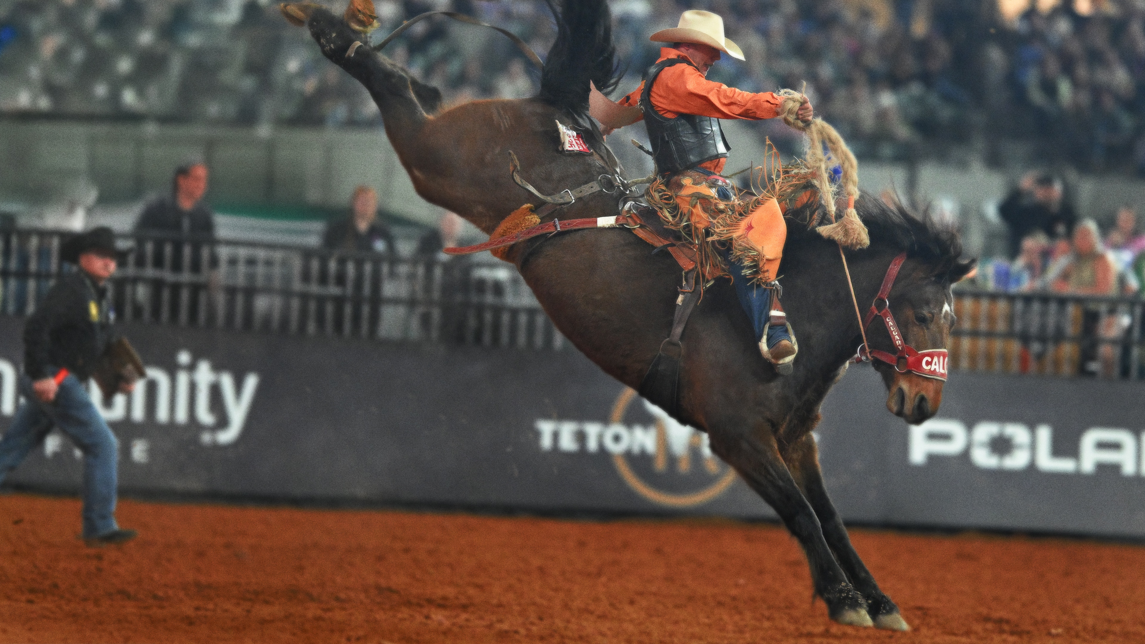 THE AMERICAN RODEO - The American Contender Tournament Finals