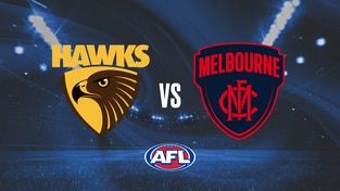 AFL Premiership Football - Hawthorn vs Melbourne