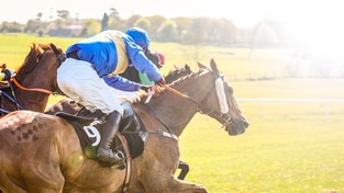 International Races from NYRA