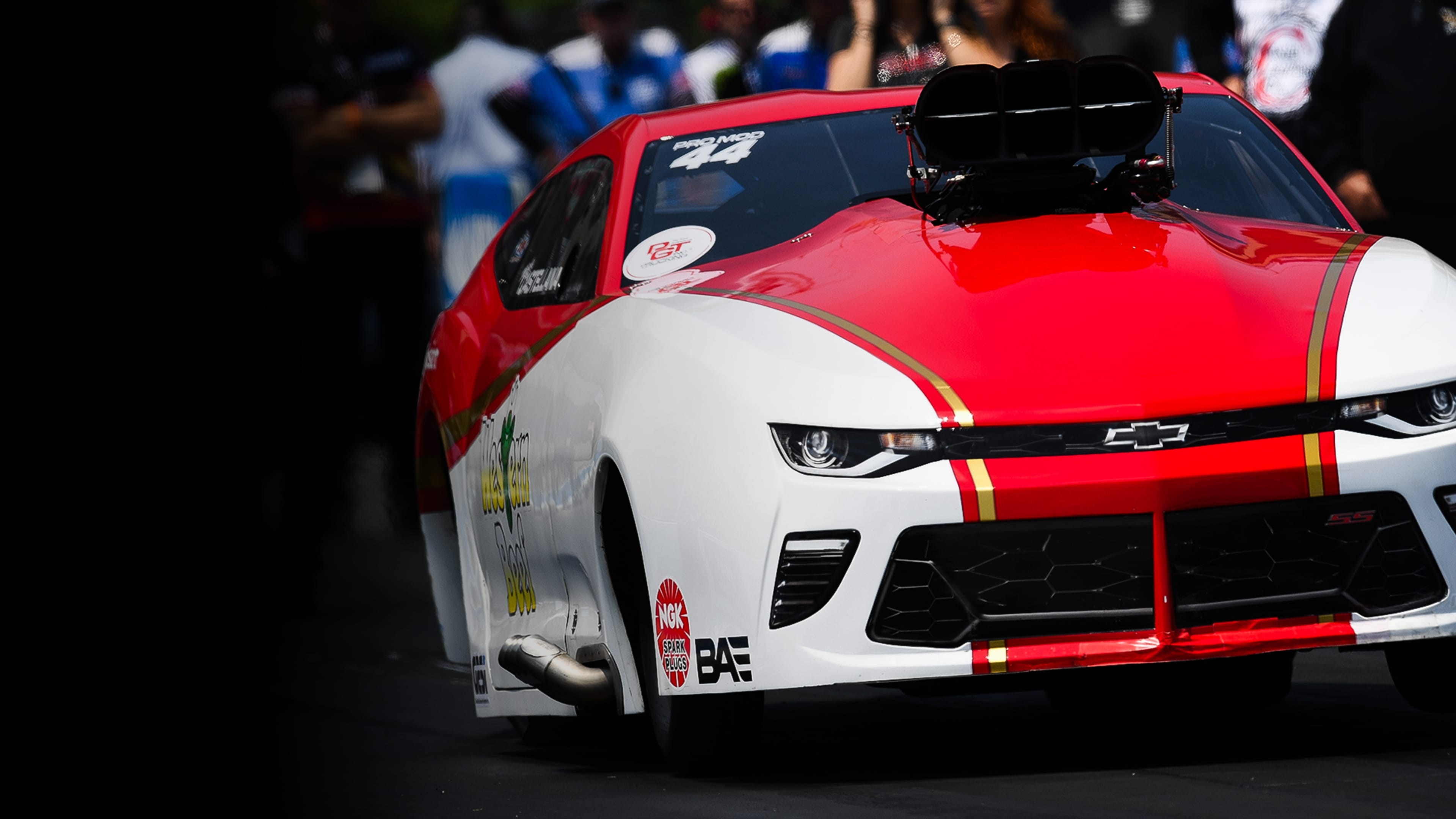 NHRA PRO MOD SERIES - Gainesville