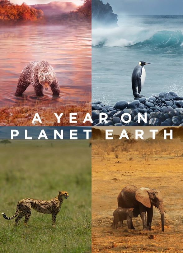A Year on Planet Earth SERIES poster