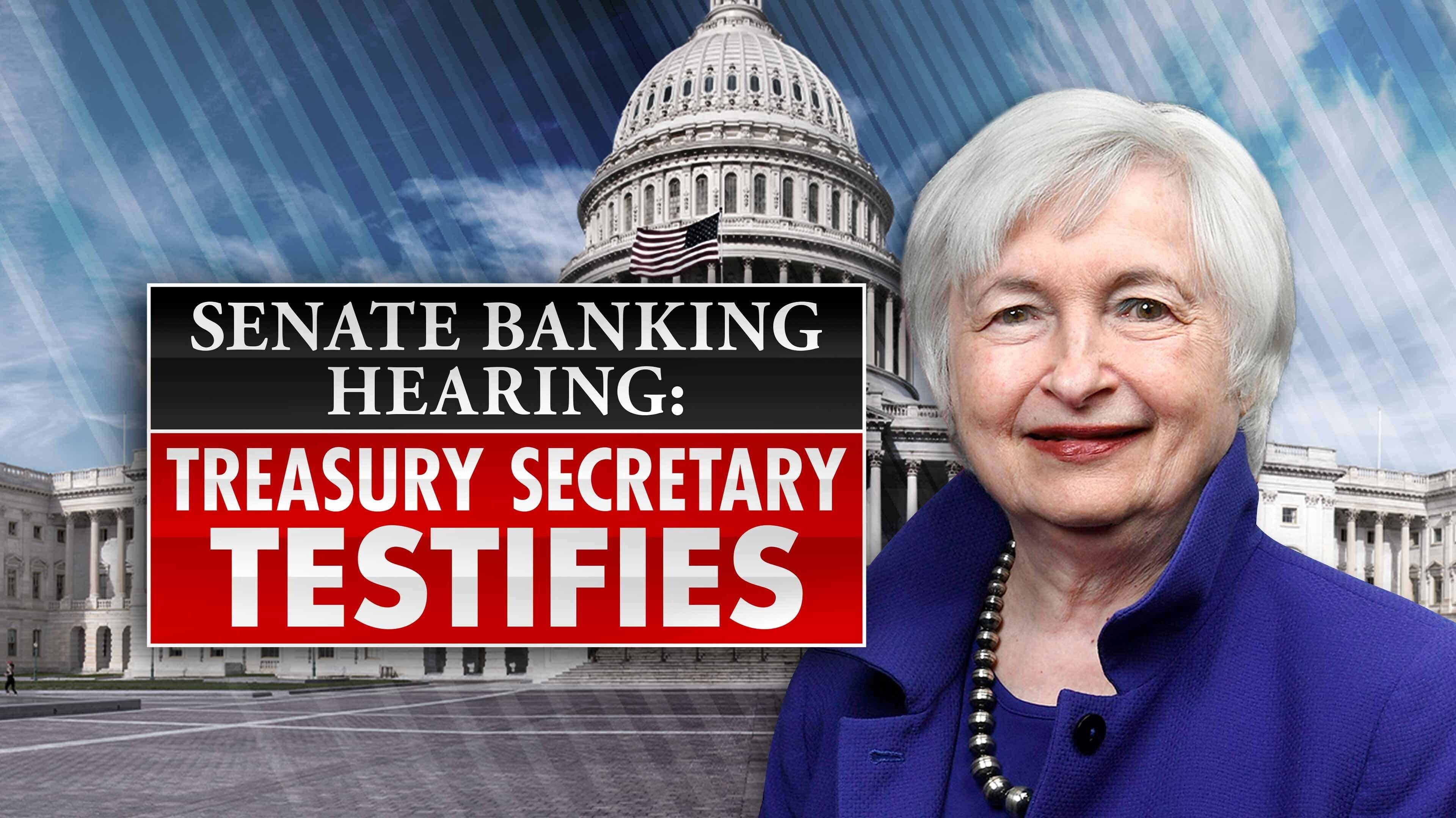 Treasury Secretary Janet Yellen Hearing