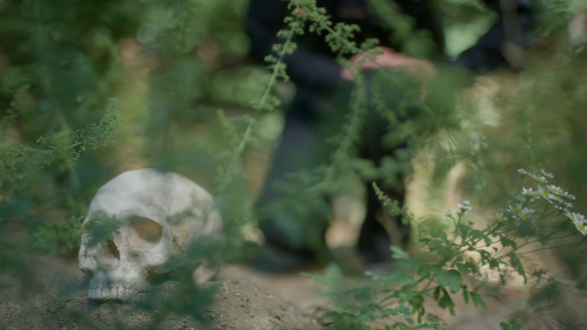 Episode 5: Buried in Lies