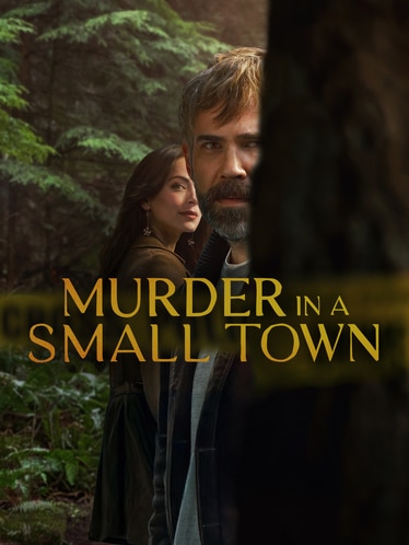Murder in a Small Town SERIES poster