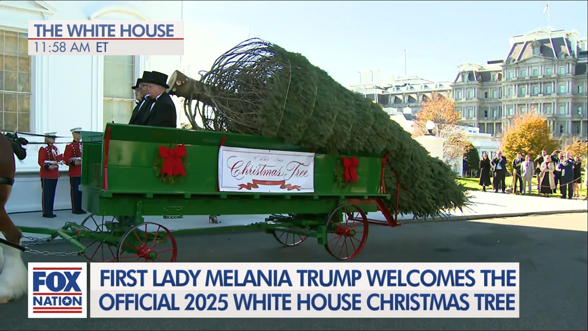 2025 White House Christmas Tree Unveiling