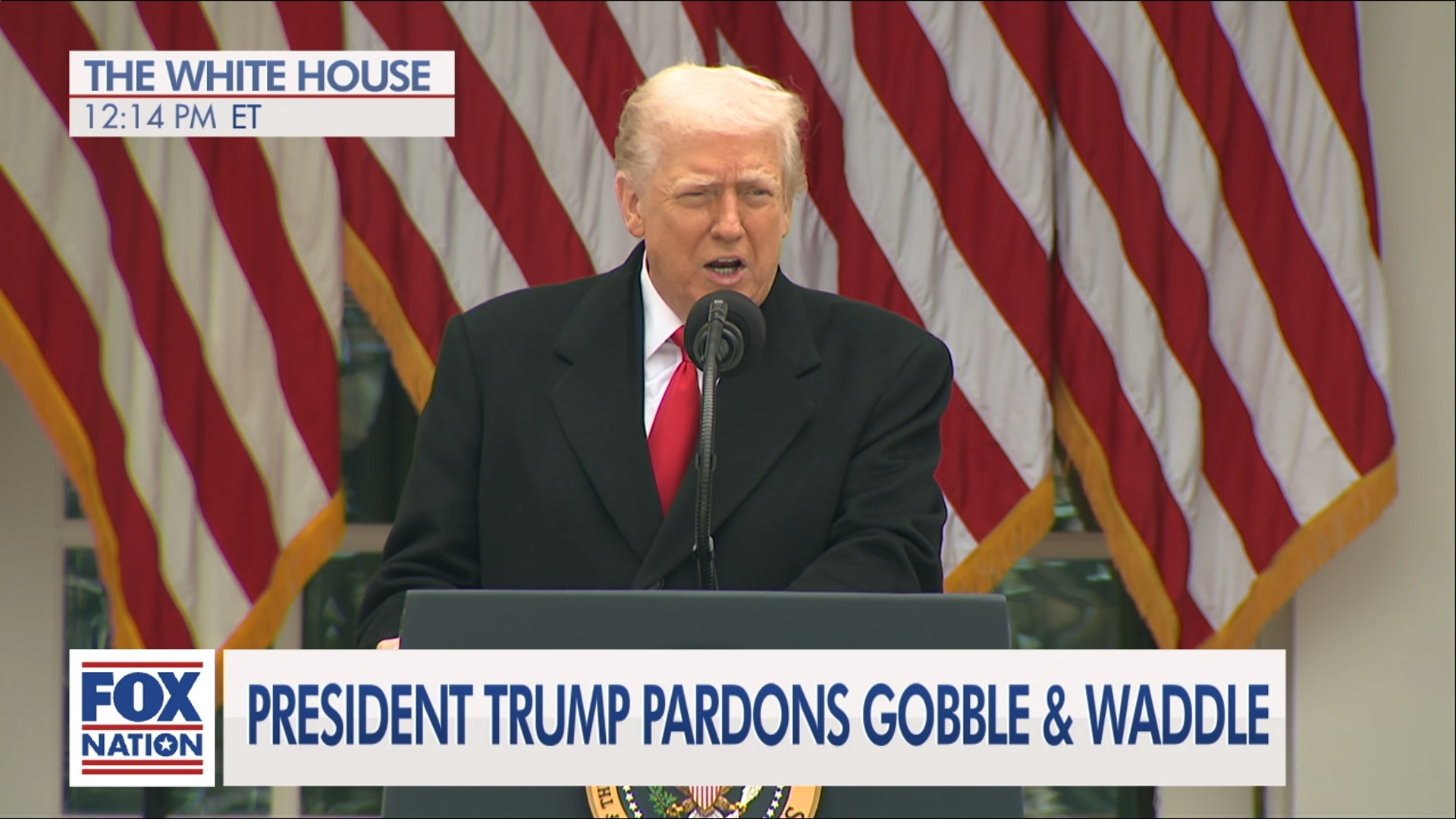 (11/25) Trump Pardons Thanksgiving Turkeys