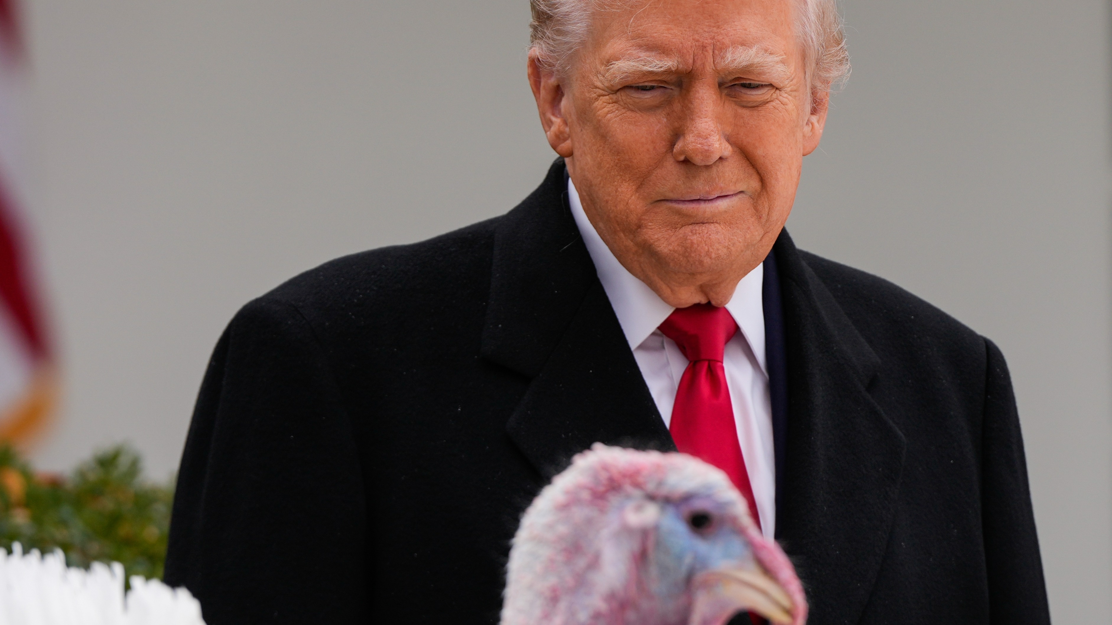 Tuesday, November 25