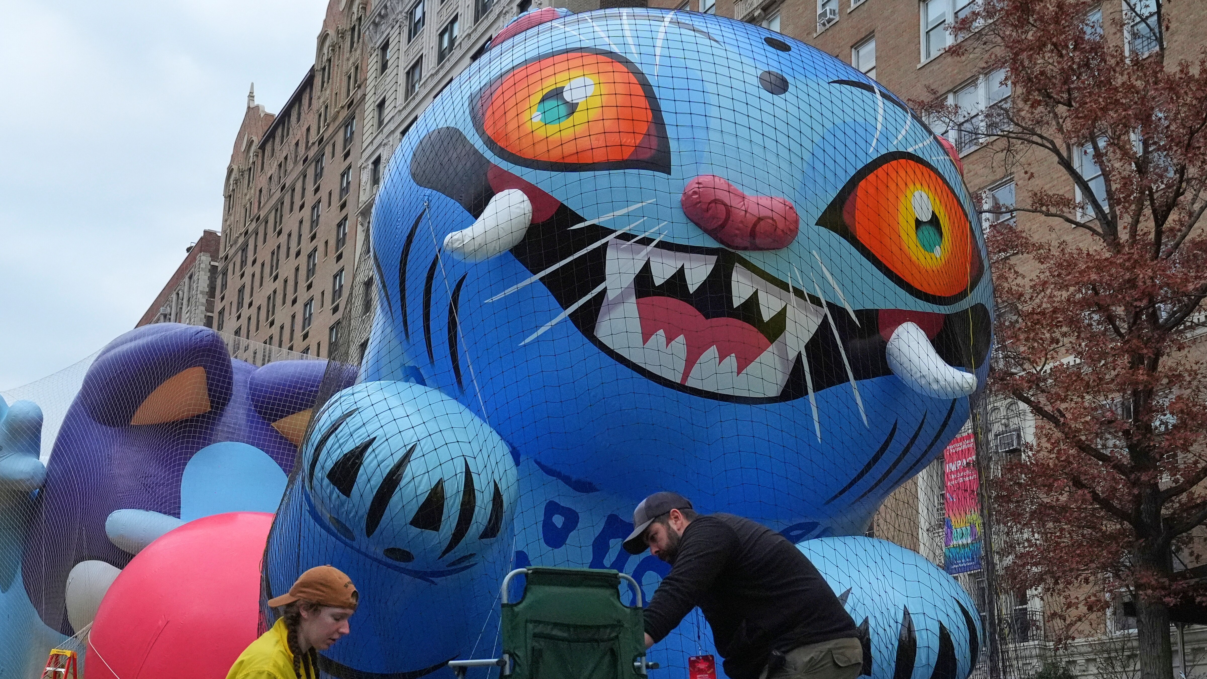 Wednesday, November 26