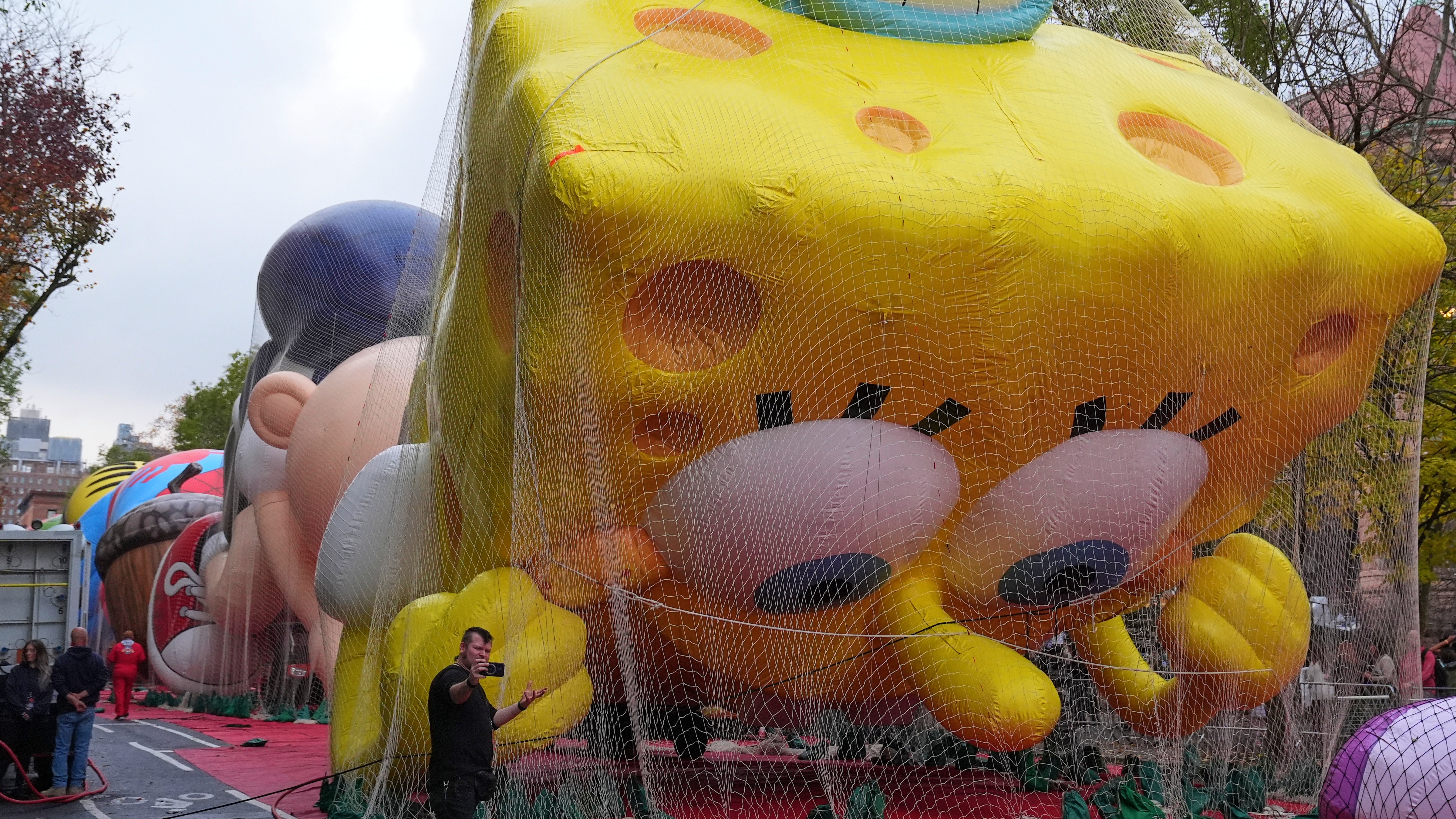 Wednesday, November 26