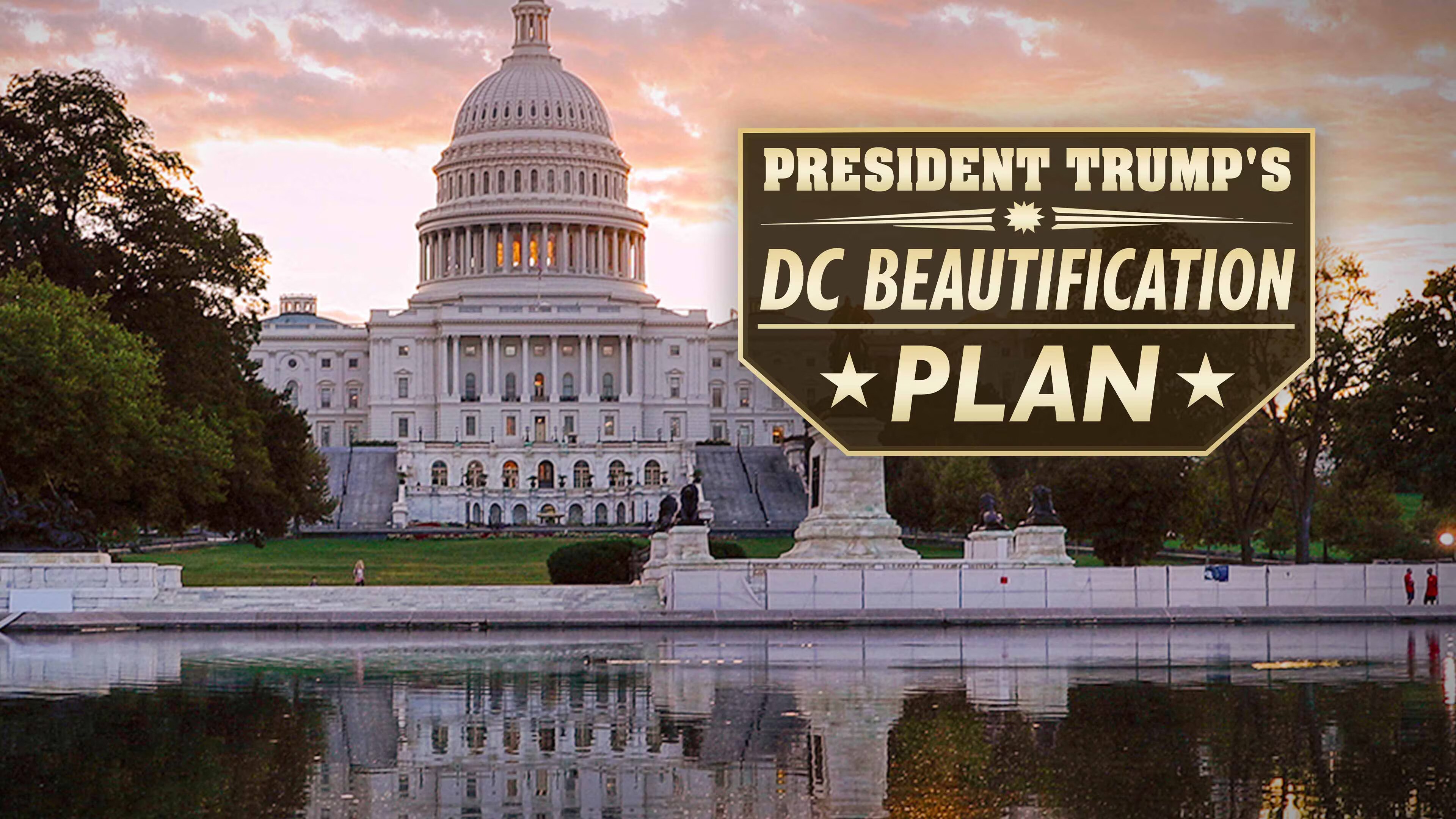 (1/6) DC Crime Plunges in 2025