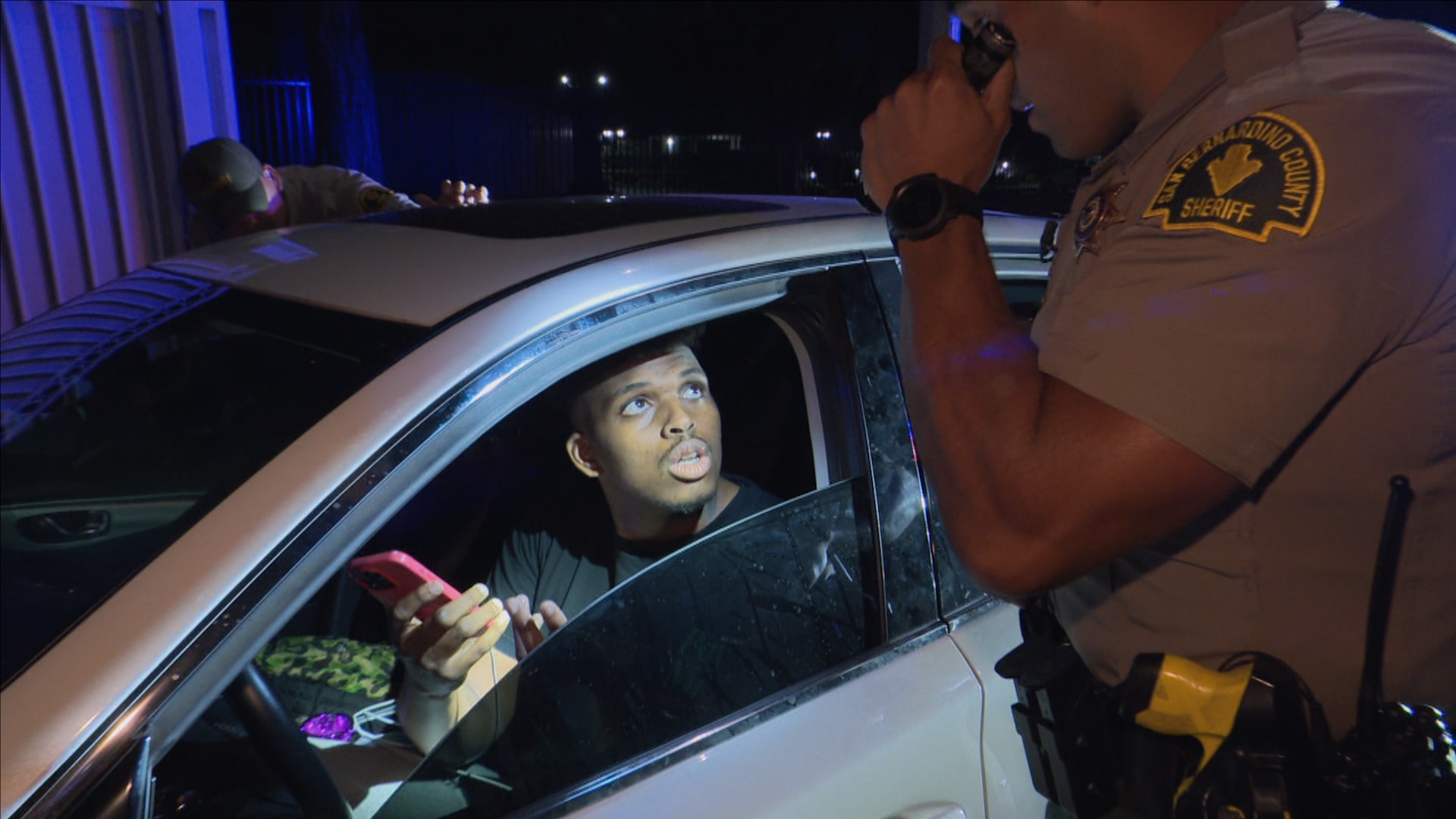 Cops - Picture Perfect