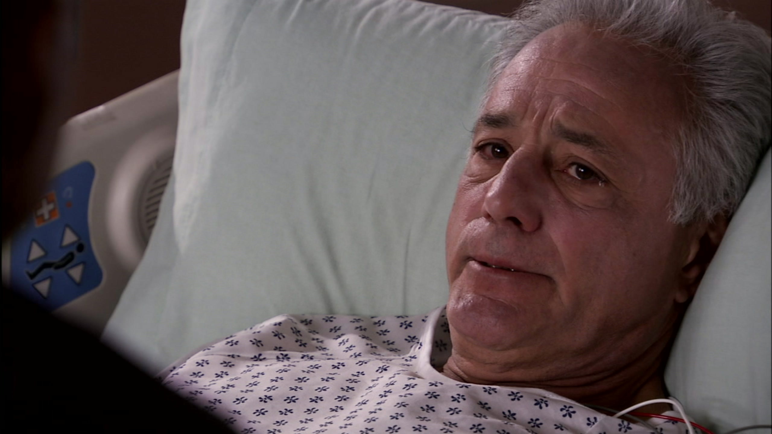 Guerillas in the Mist