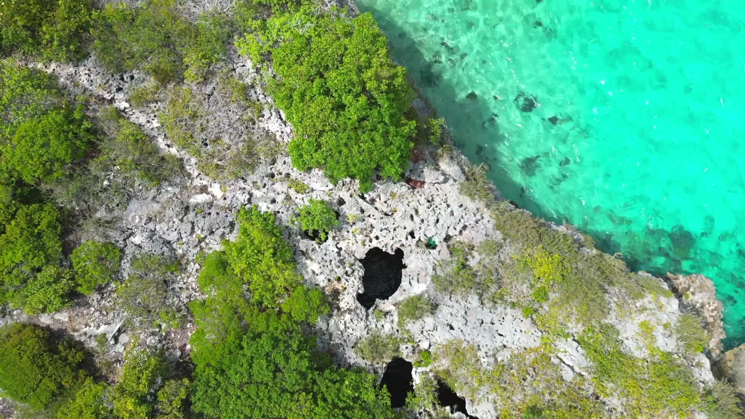 Bahamas "Protecting Paradise"