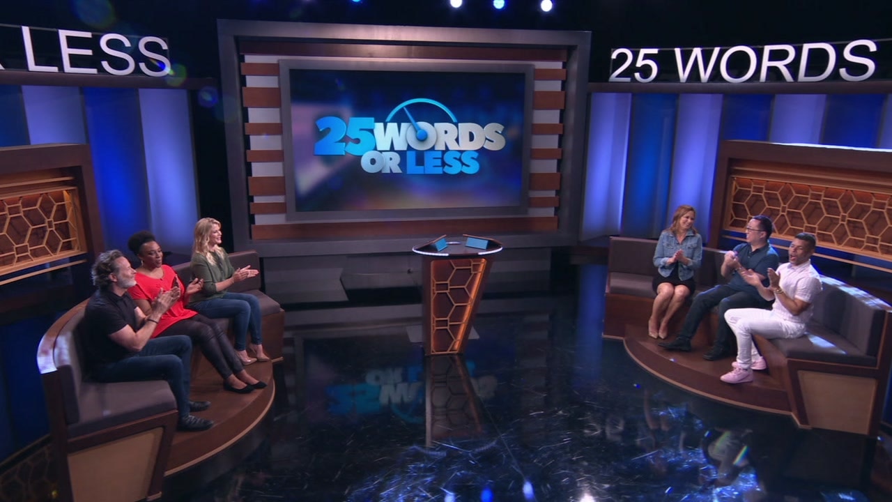 Steven Weber and Alison Sweeney vs. Mary Lynn Rajskub and Wilson Cruz