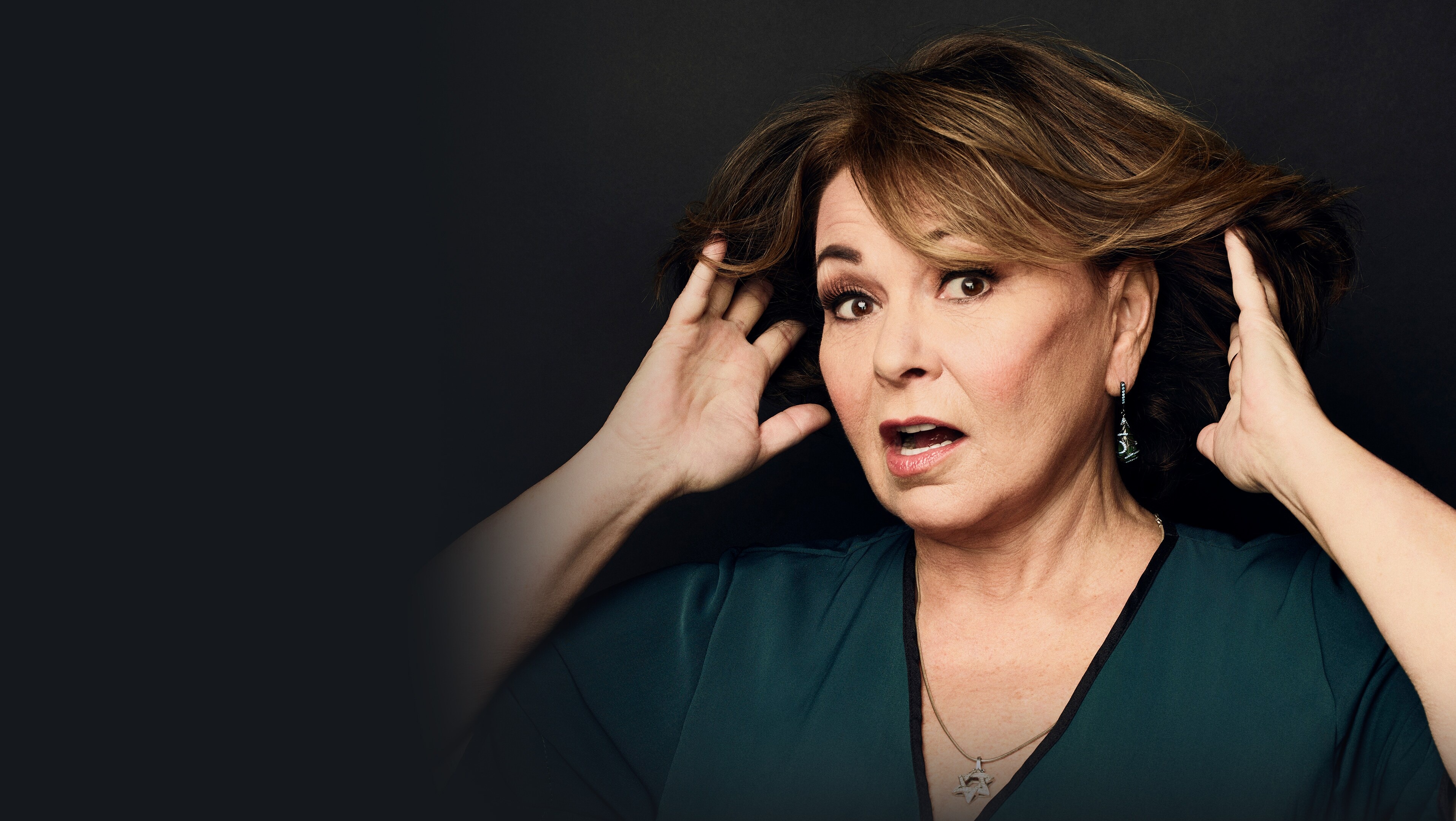 Who Is Roseanne Barr?