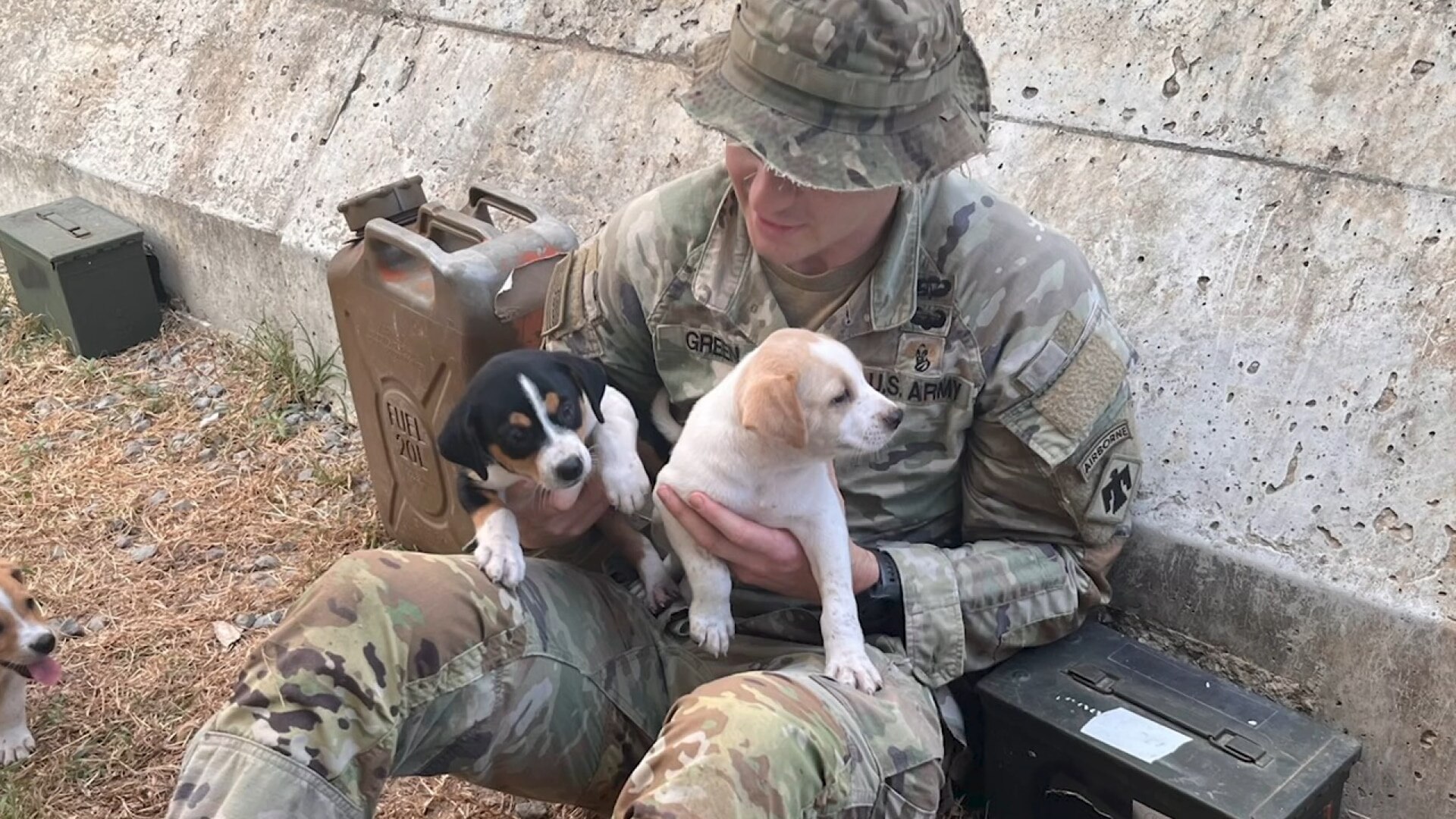 Award For Service To Veterans