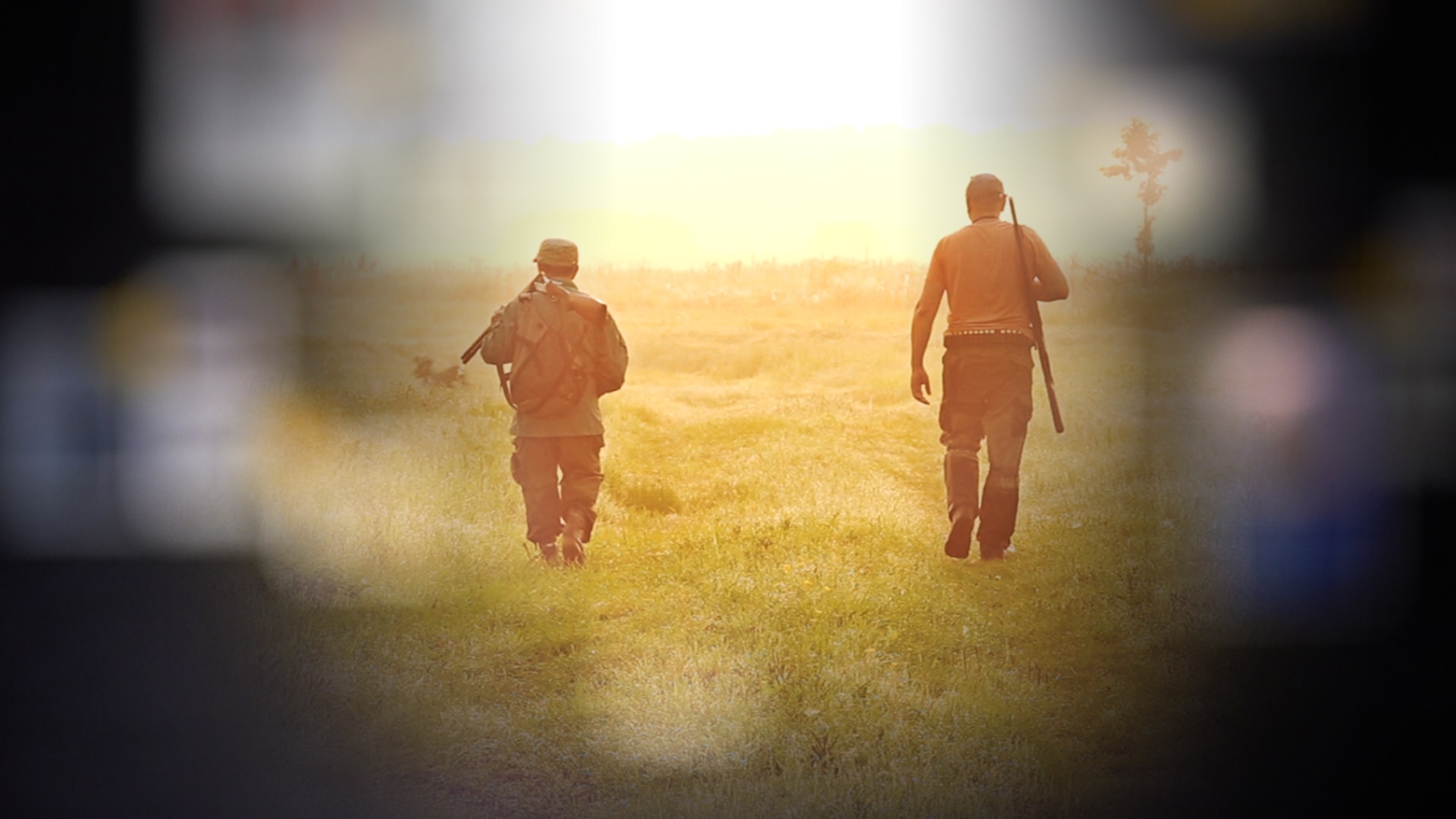 Wildlife Poaching and Sex Trafficking