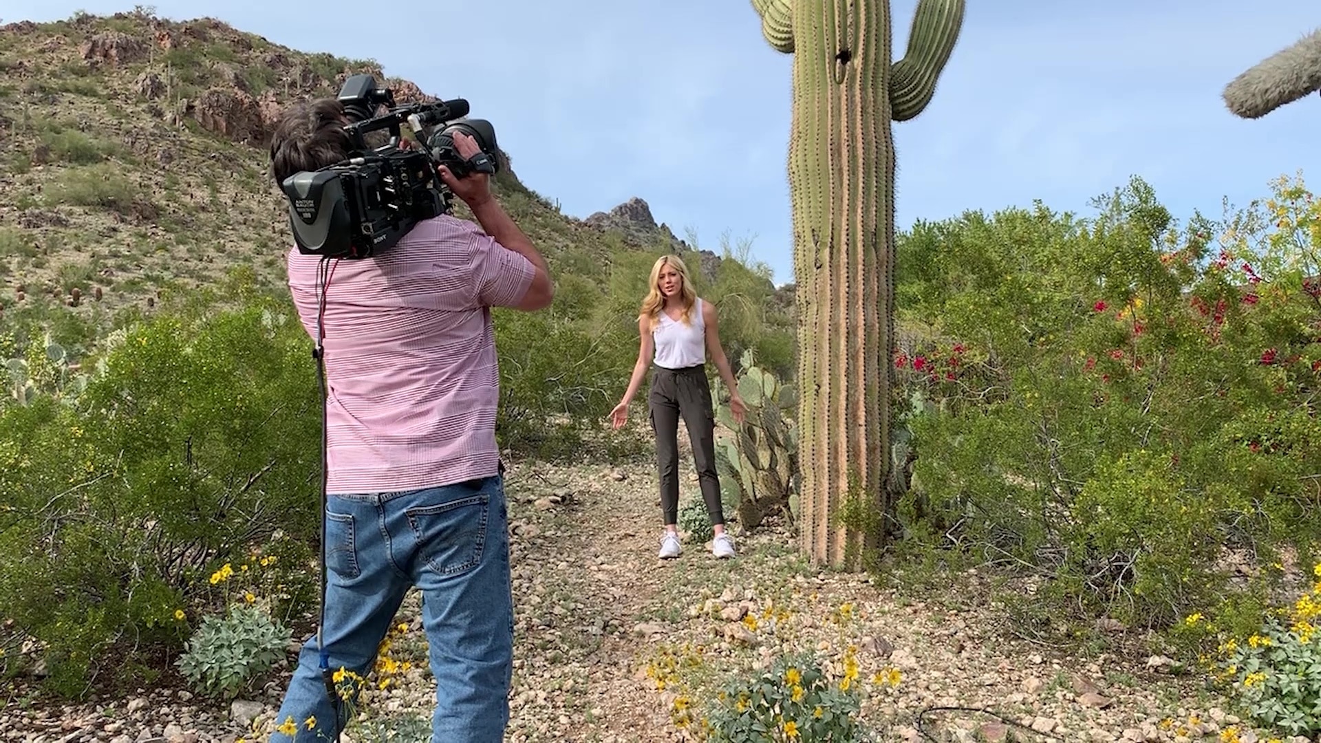 Park'd: Social Distance Edition