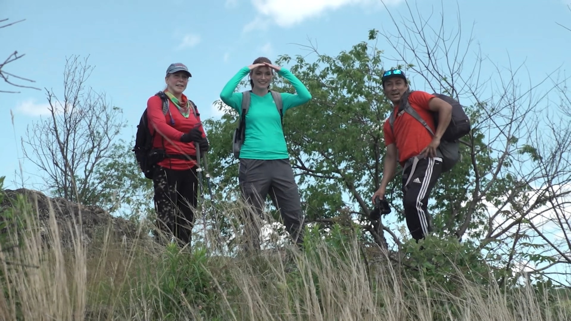 The Healing Power of Nature