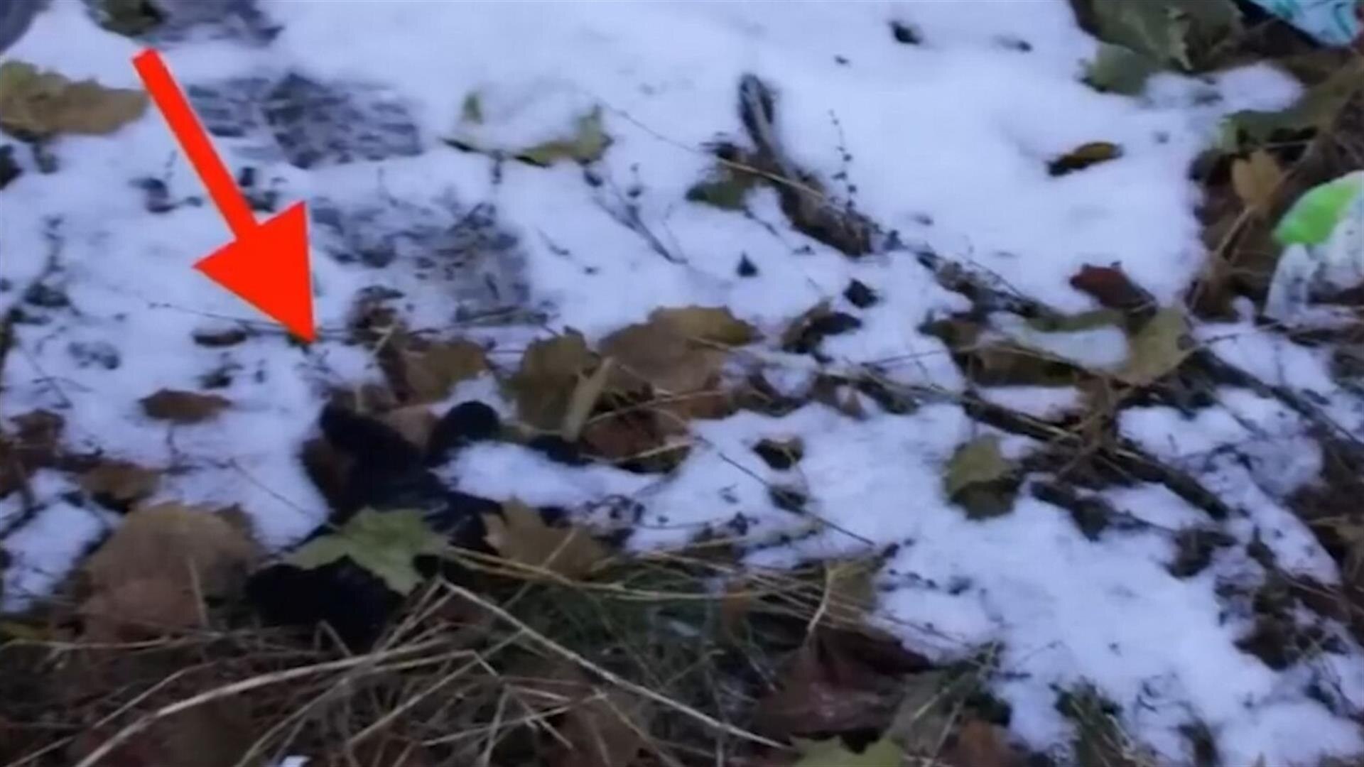 Idaho Student Murders: Black Glove at Crime Scene