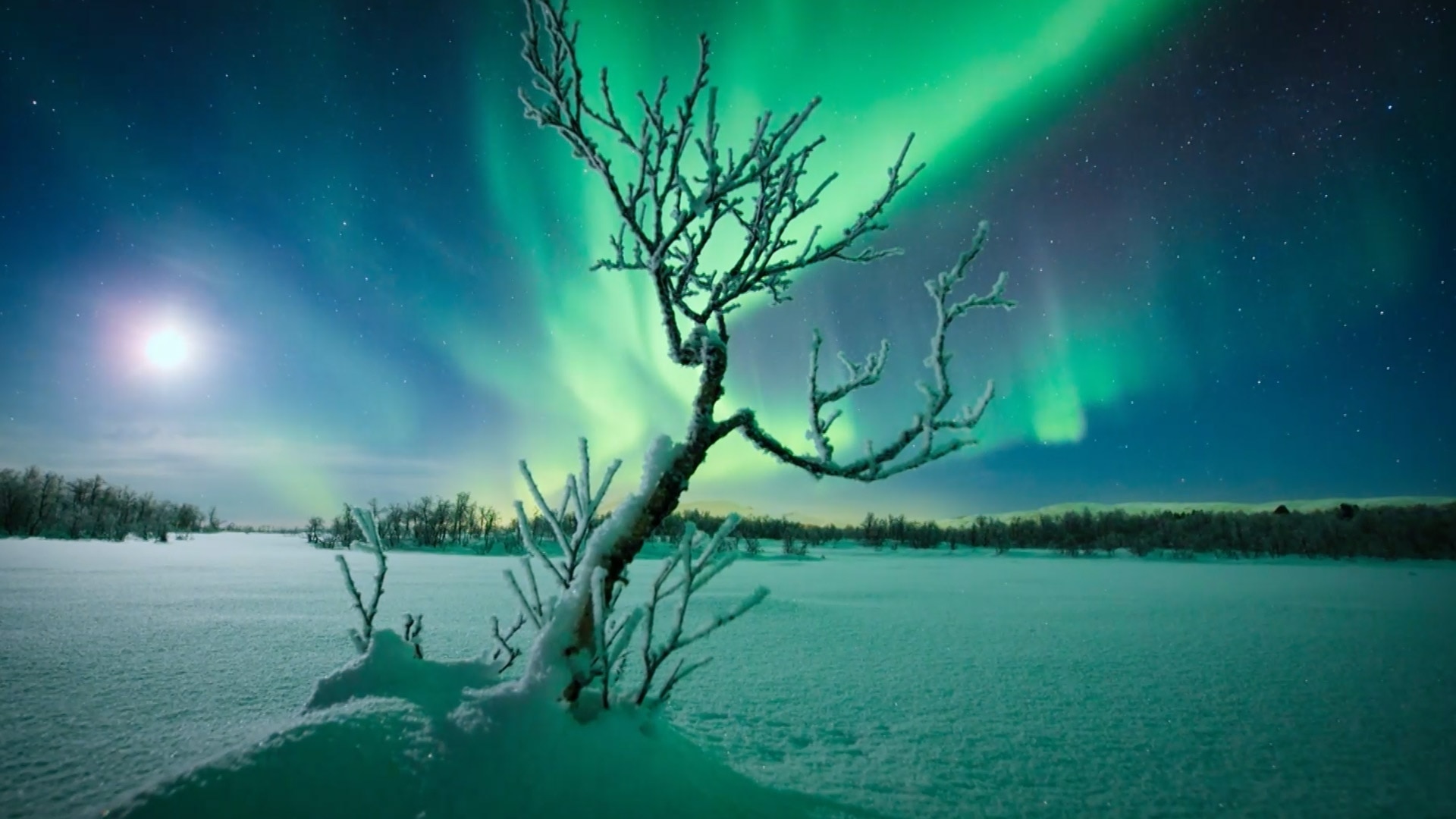 Episode 6: Making the Planet