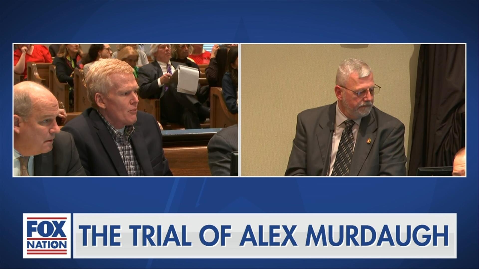 The Trial of Alex Murdaugh: 1/30 Afternoon