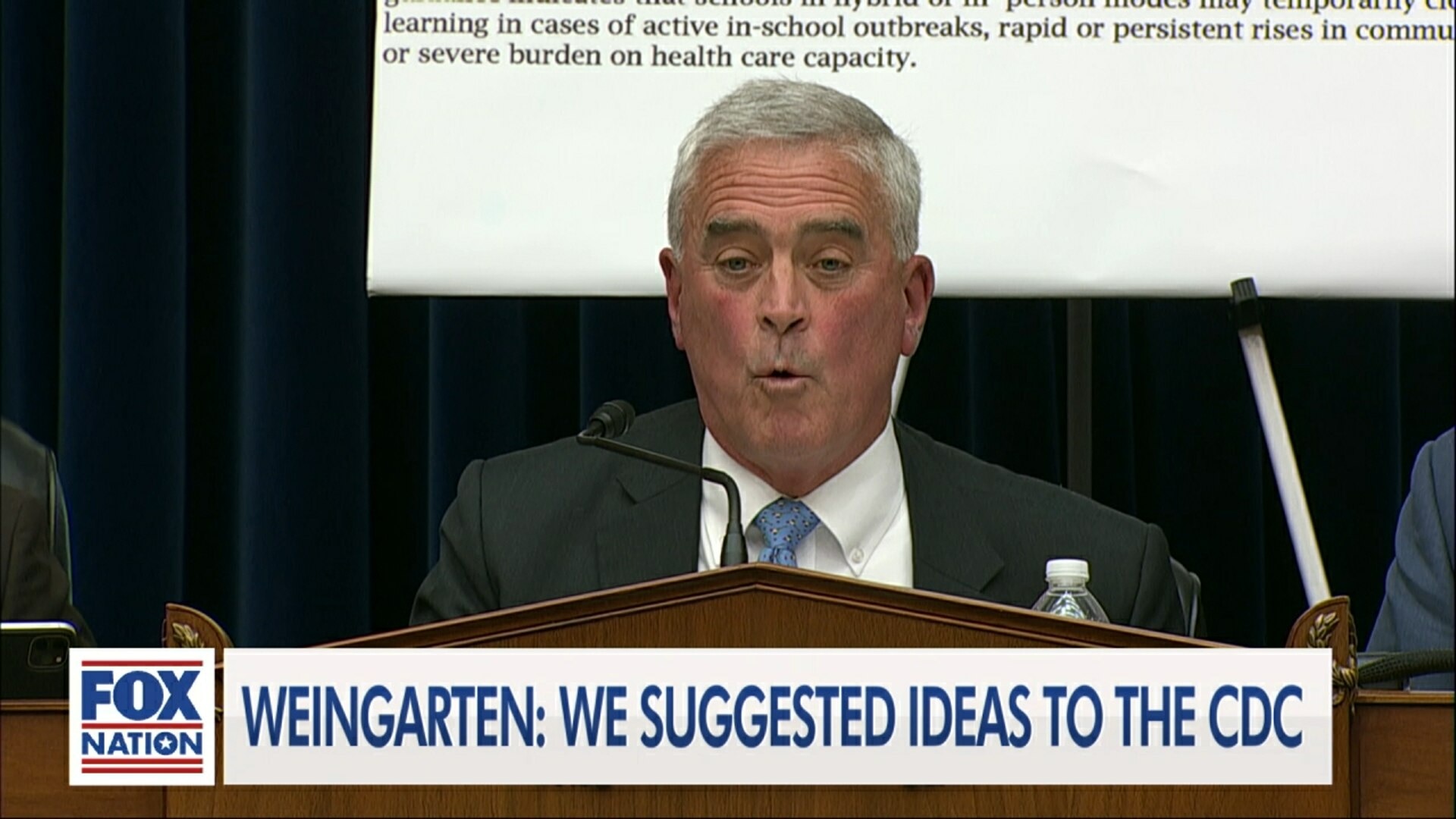 House Hearing: Covid Consequences