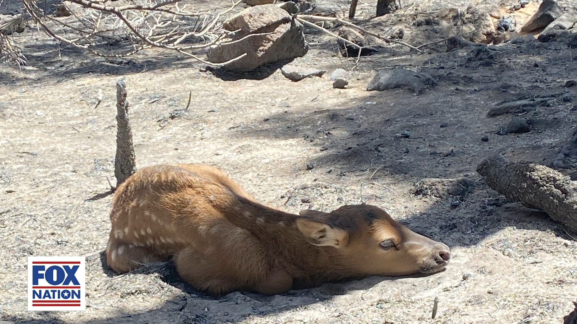 What You May Have Missed