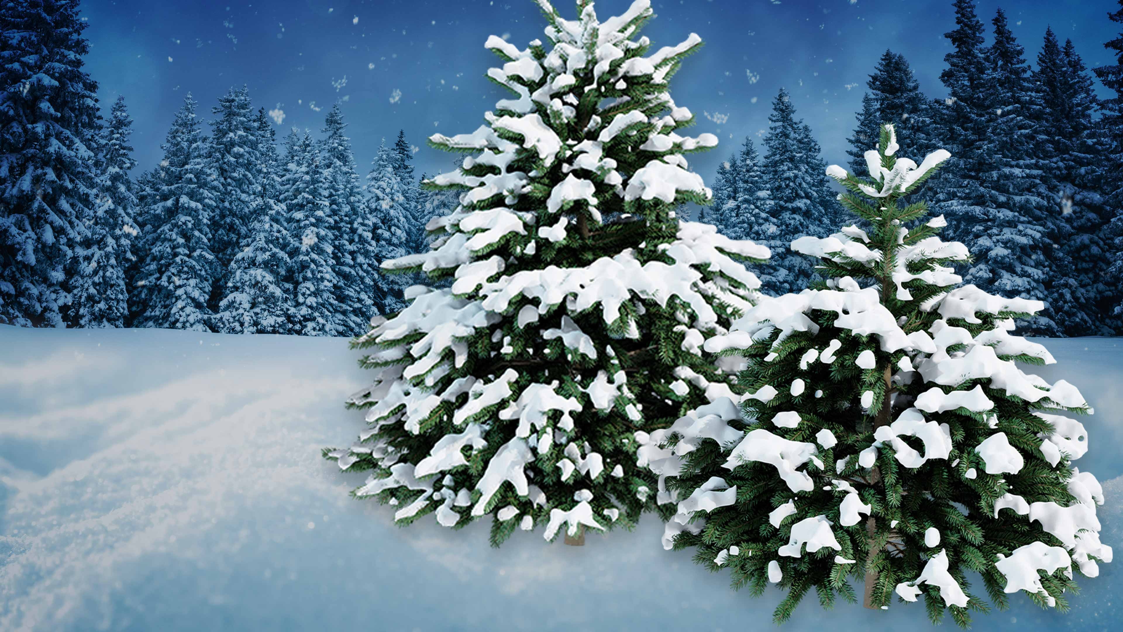 The Andy Williams Christmas Show