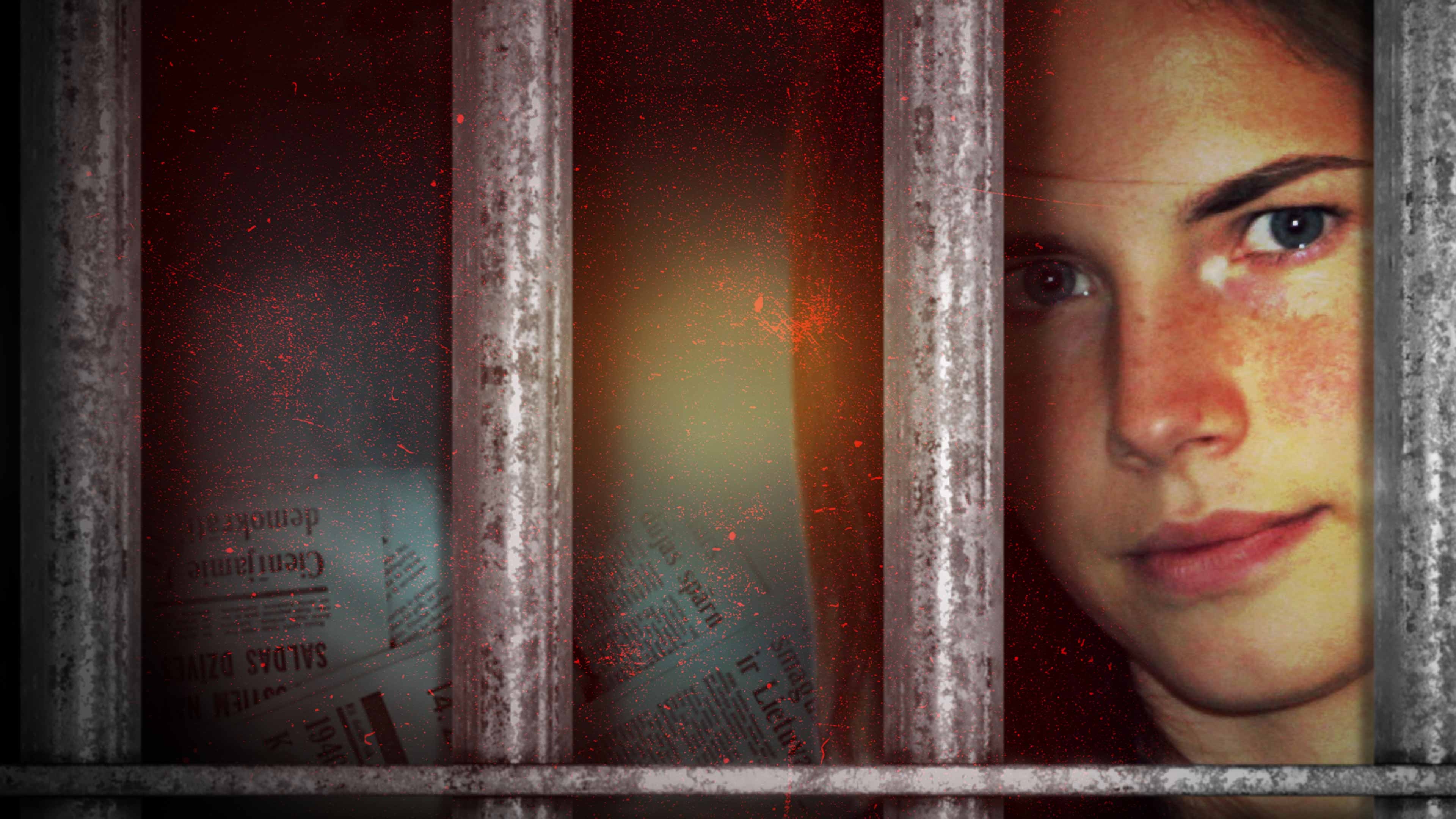 Framed: The Amanda Knox Story