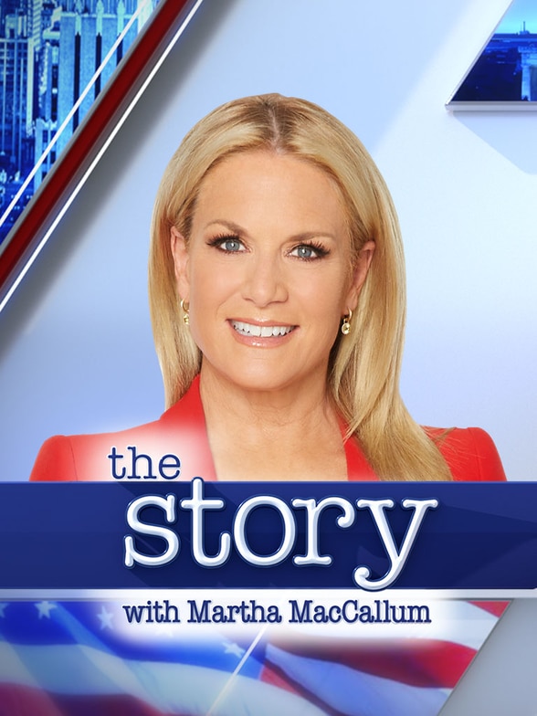 The Story SERIES poster