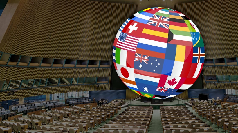 United Nations General Assembly