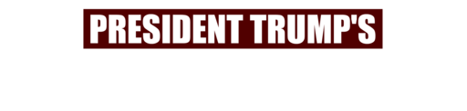 President Trump's Historic Peace Deal