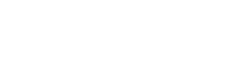 Super Tuesday: Democracy 2024