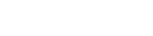 Spy Nation