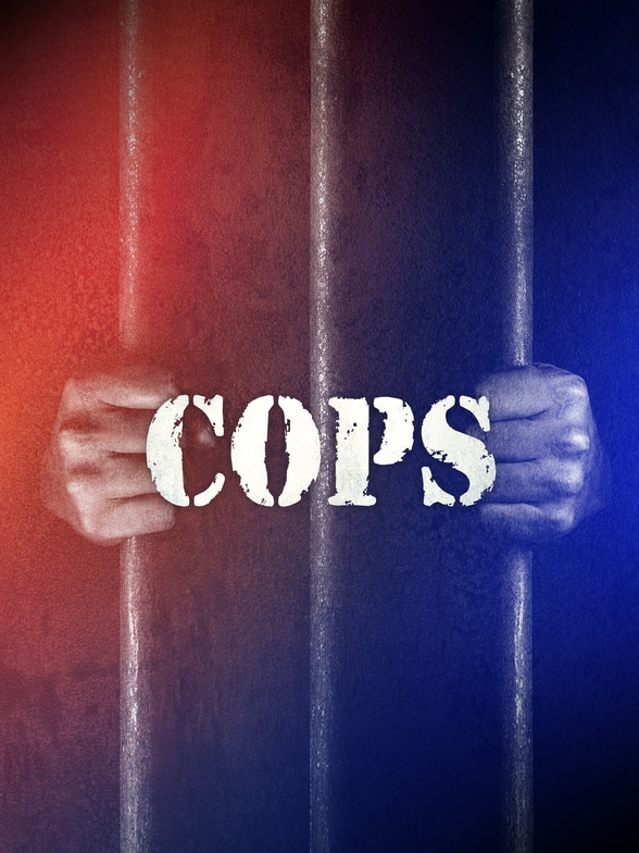 Cops SERIES poster