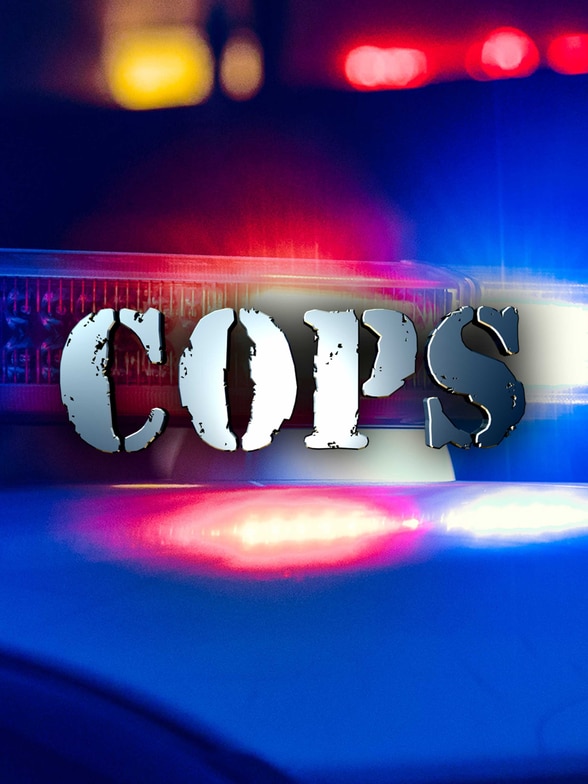 Cops SERIES poster
