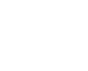 FOX One