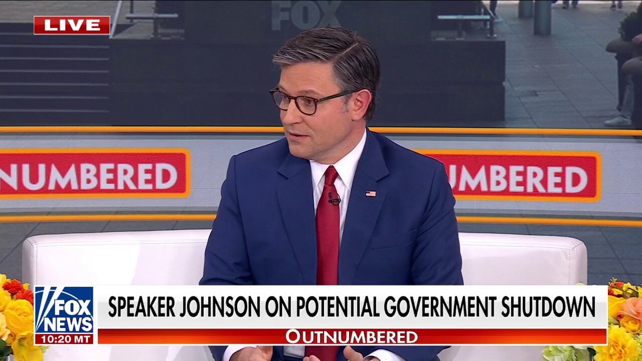 Speaker Johnson: Democrats are 'afraid' DOGE cuts will minimize federal government
