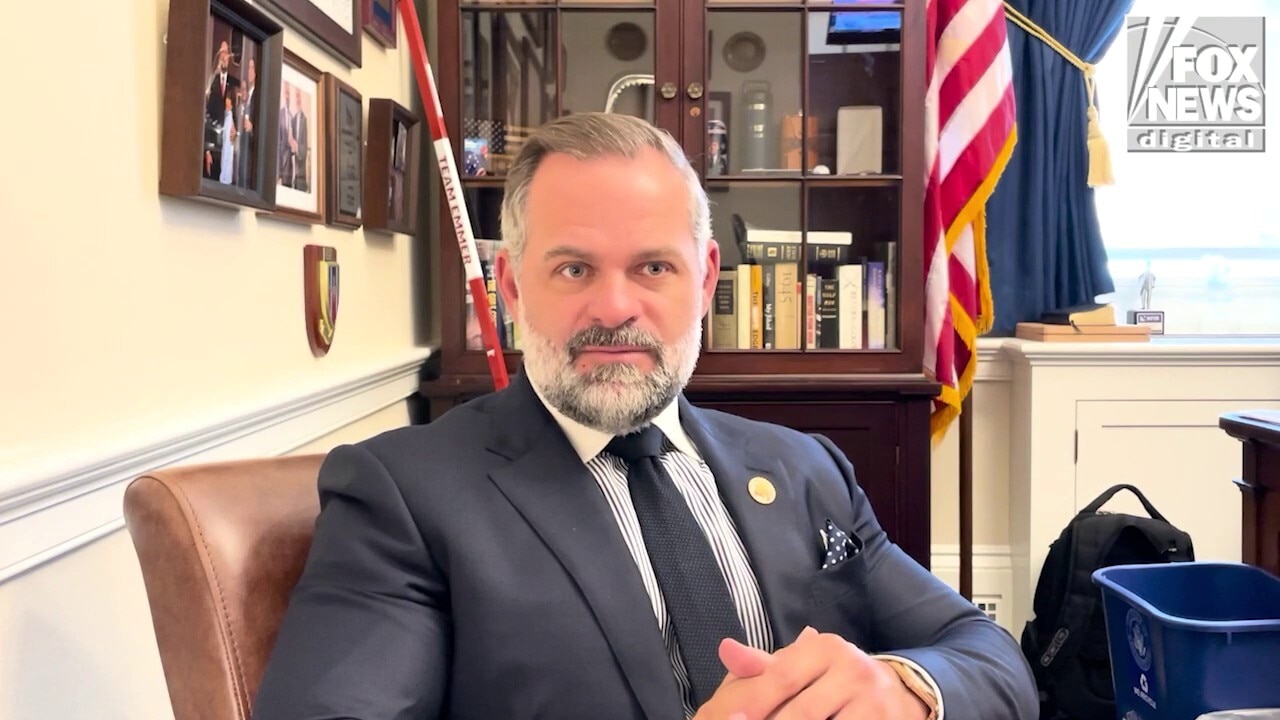 GOP lawmaker talks effort to make DOGE permanent