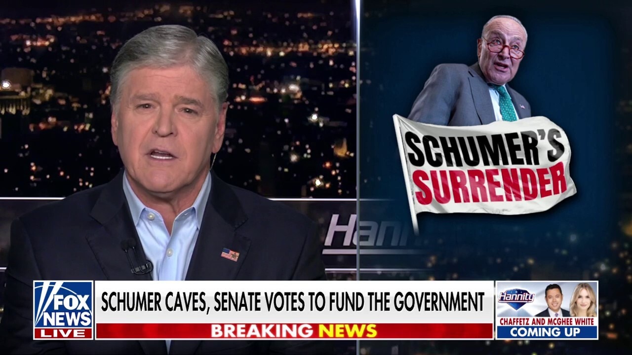 Sean Hannity: The Democratic Party is descending into unmitigated chaos
