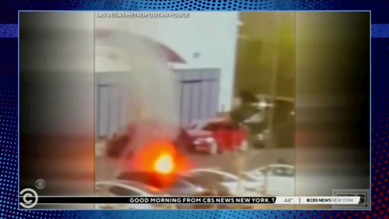 Comedy Central host calls out in-studio audience for applauding Tesla arsonists