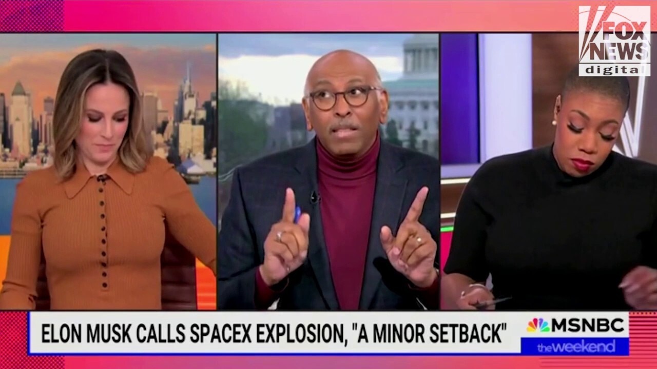 Elon Musk faces mounting attacks from Democrats, media