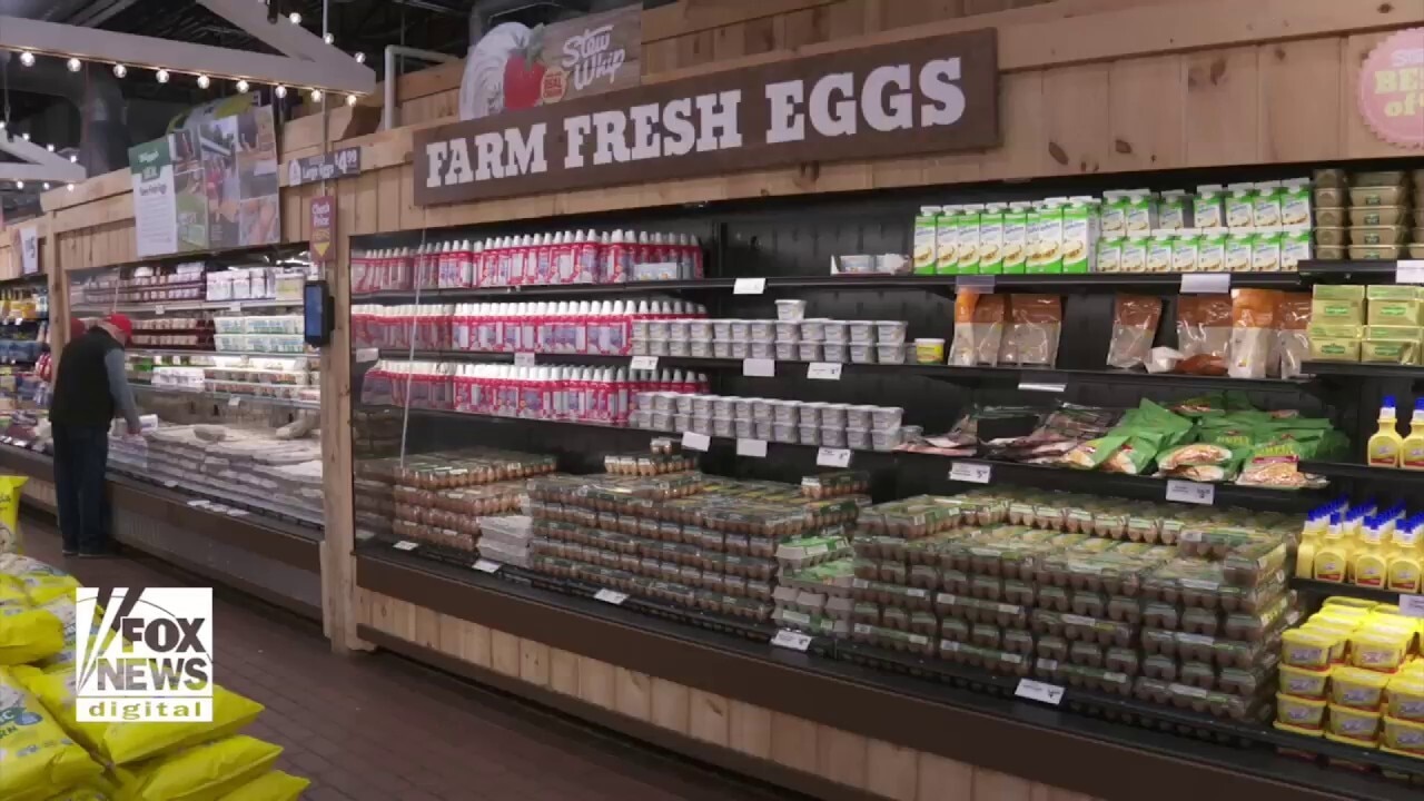 Farmers turn to AI to increase egg supplies   